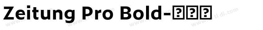 Zeitung Pro Bold字体转换